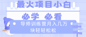 导师训练营互联网最牛逼的项目没有之一,新手小白必学,月入2万+轻轻松松 - 严选资源大全 - 严选资源大全