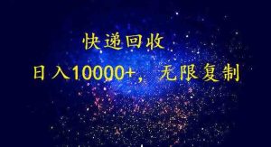 (9464期)完美落地,暴利快递回收项目。每天收入10000+,可无限放大 - 严选资源大全 - 严选资源大全