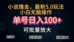 全自动小说撸金,单号日入100+小白轻松上手,无脑操作 - 严选资源大全 - 严选资源大全