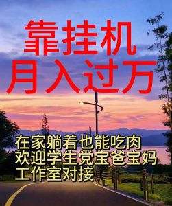 (10838期)靠挂机,日入1000+,躺着也能吃肉,适合宝爸宝妈学生党工作室,电脑手… - 严选资源大全 - 严选资源大全