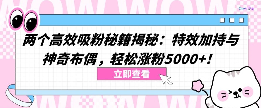 两个高效吸粉秘籍揭秘：特效加持与神奇布偶，轻松涨粉5000+ - 严选资源大全 - 严选资源大全