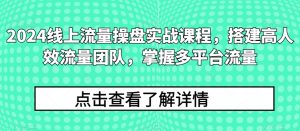 2024线上流量操盘实战课程,搭建高人效流量团队,掌握多平台流量 - 严选资源大全 - 严选资源大全