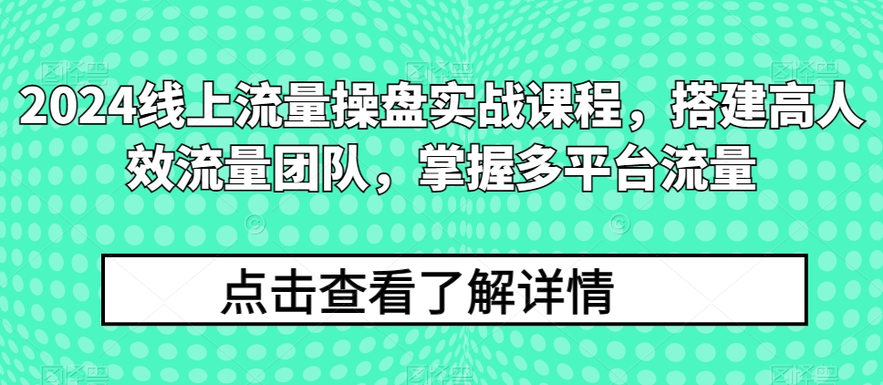 2024线上流量操盘实战课程，搭建高人效流量团队，掌握多平台流量 - 严选资源大全 - 严选资源大全