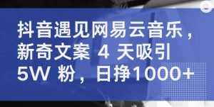 抖音遇见网易云音乐,新奇文案 4 天吸引 5W 粉,日挣1000+ - 严选资源大全 - 严选资源大全