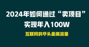 (9147期) 2024年如何通过“卖项目”实现年入100W - 严选资源大全 - 严选资源大全