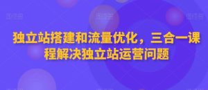 独立站搭建和流量优化,三合一课程解决独立站运营问题 - 严选资源大全 - 严选资源大全