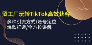 外贸工厂玩转TikTok高效获客，多种引流方式/账号定位/爆款打造/全方位讲解 - 严选资源大全 - 严选资源大全