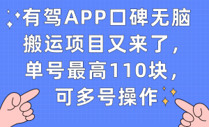 有驾APP口碑无脑搬运项目又来了,单号最高110块,可多号操作 - 严选资源大全 - 严选资源大全