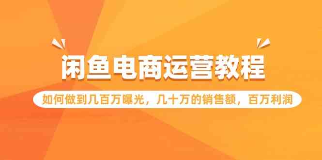 （9560期）闲鱼电商运营教程：如何做到几百万曝光，几十万的销售额，百万利润. - 严选资源大全 - 严选资源大全