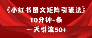 (9538期)《小红书图文矩阵引流法》 10分钟-条 ,一天引流50+ - 严选资源大全 - 严选资源大全
