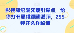 影视综纪漫文案引爆点,给你打开思维醍醐灌顶,255种开头详解课 - 严选资源大全 - 严选资源大全
