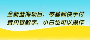 全新蓝海项目,零基础快手付费内容教学,小白也可以操作 - 严选资源大全 - 严选资源大全