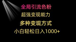 (9680期)全局引流色粉 超强变现能力 多种变现方式 小白轻松日入1000+ - 严选资源大全 - 严选资源大全