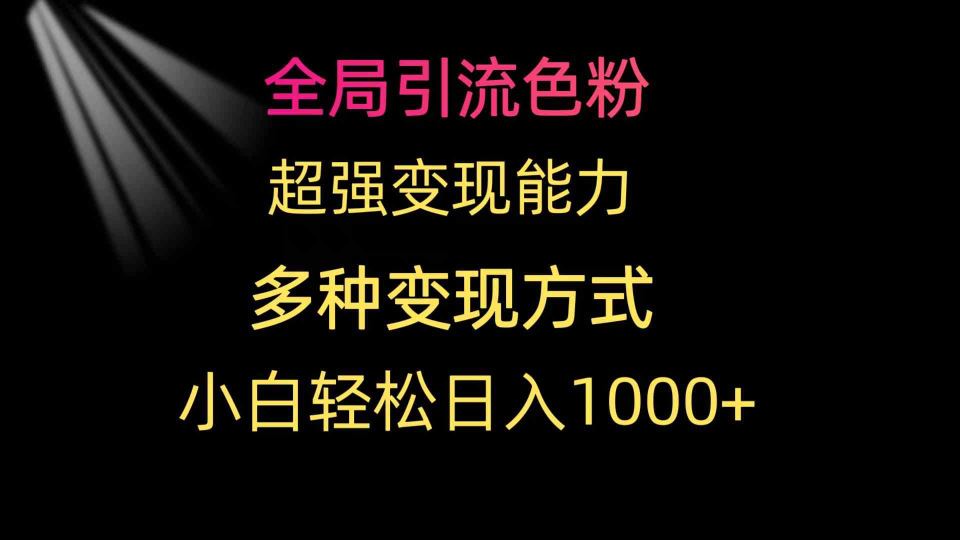 （9680期）全局引流色粉 超强变现能力 多种变现方式 小白轻松日入1000+ - 严选资源大全 - 严选资源大全