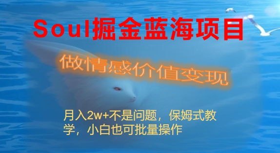 Soul掘金蓝海项目细分赛道，做情感价值变现，月入2w+不是问题 - 严选资源大全 - 严选资源大全