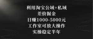 利用淘宝公域+私域差价掘金,日赚1000-5000元,工作室可放大操作,实操… - 严选资源大全 - 严选资源大全