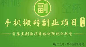 手机搬砖小副业项目训练营1.0,实测1小时收益50+,一部手机轻松日入100+ - 严选资源大全 - 严选资源大全