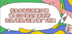 拼多多培训班第34期：做高价女装必盈利剖析选品/测款/运营/推广/拓展 - 严选资源大全 - 严选资源大全