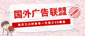 外面收费1980最新国外LEAD广告联盟搬砖项目,单号一天至少30美金(详细教程) - 严选资源大全 - 严选资源大全