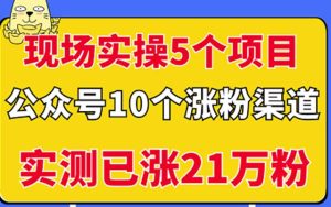 现场实操5个公众号项目，10个涨粉渠道，实测已涨21万粉！￼ - 严选资源大全 - 严选资源大全