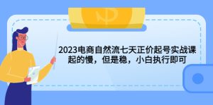 2023电商自然流七天正价起号实战课:起的慢,但是稳,小白执行即可! - 严选资源大全 - 严选资源大全