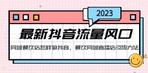 2023最新抖音流量风口,同城餐饮店怎样做抖音,餐饮同城直播店引流方法 - 严选资源大全 - 严选资源大全