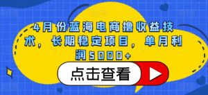 4月份蓝海电商撸收益技术,长期稳定项目,单月利润5000+ - 严选资源大全 - 严选资源大全