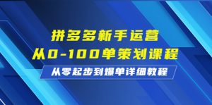 拼多多新手运营从0-100单策划课程,从零起步到爆单详细教程 - 严选资源大全 - 严选资源大全