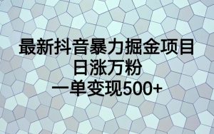 最新抖音暴力掘金项目,日涨万粉,一单变现500+ - 严选资源大全 - 严选资源大全