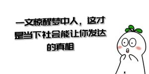 某公众号付费文章《一文 惊醒梦中人,这才是当下社会能让你发达的真相》 - 严选资源大全 - 严选资源大全