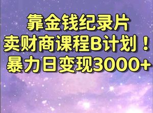 靠金钱纪录片卖财商课程B计划!暴力日变现3000+,喂饭式干货教程! - 严选资源大全 - 严选资源大全