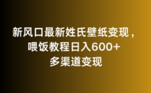 新风口最新姓氏壁纸变现,喂饭教程日入600+ - 严选资源大全 - 严选资源大全