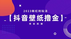 2023新红利玩法:抖音壁纸撸金项目 - 严选资源大全 - 严选资源大全
