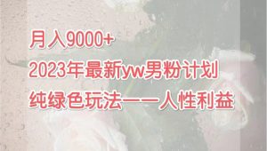 月入9000+2023年9月最新yw男粉计划绿色玩法——人性之利益 - 严选资源大全 - 严选资源大全