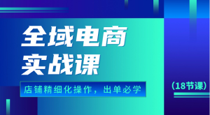 全域电商实战课,个人店铺精细化操作流程,出单必学内容(18节课) - 严选资源大全 - 严选资源大全