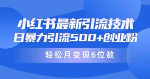 (9871期)日引500+月变现六位数24年最新小红书暴力引流兼职粉教程 - 严选资源大全 - 严选资源大全