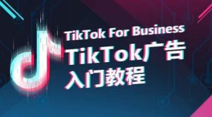 TikTok广告入门教程,从0到1掌握TikTok投放的全流程 - 严选资源大全 - 严选资源大全