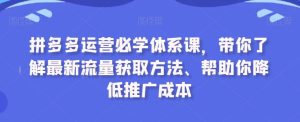 拼多多运营必学体系课,带你了解最新流量获取方法、帮助你降低推广成本 - 严选资源大全 - 严选资源大全