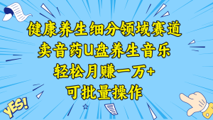 健康养生细分领域赛道,卖音药U盘养生音乐,轻松月赚一万+,可批量操作 - 严选资源大全 - 严选资源大全