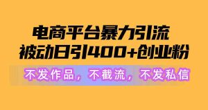(10168期)电商平台暴力引流,被动日引400+创业粉不发作品,不截流,不发私信 - 严选资源大全 - 严选资源大全
