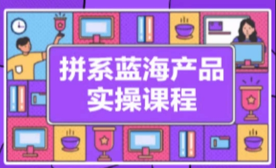 拼系冷门蓝海产品实操课程，从注册店铺到选品上架到流量维护环环相扣 - 严选资源大全 - 严选资源大全