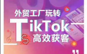 外贸工厂玩转TikTok高效获客,多种引流方式与账号定位技巧,拆解爆款短视频打造成功案例 - 严选资源大全 - 严选资源大全