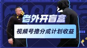 老外开盲盒视频,撸视频号分成计划收益,每天只需一小时,新手小白轻松上手 - 严选资源大全 - 严选资源大全