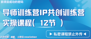 导师训练营3.0IP共创训练营私密实操课程(12节)-卖项目的密码成功秘诀 - 严选资源大全 - 严选资源大全