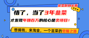 (10759期)悟了,当了3年韭菜,才发现网赚圈年赚100万的核心是卖项目,含泪分享! - 严选资源大全 - 严选资源大全