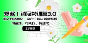 爆款!销冠特训营3.0之顺人性销售法,全方位解决销售难题、可落地 - 严选资源大全 - 严选资源大全