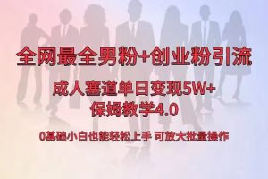 全网首发成人用品单日卖货5W+,最全男粉+创业粉引流玩法,小白也能轻松…  - 严选资源大全 - 严选资源大全