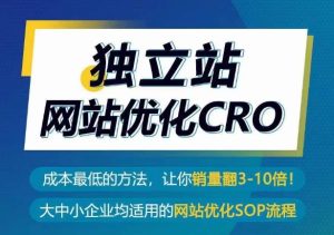 独立站网站优化CRO,成本最低的方法,让你销量翻3-10倍 - 严选资源大全 - 严选资源大全
