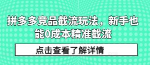 拼多多竞品截流玩法,新手也能0成本精准截流 - 严选资源大全 - 严选资源大全