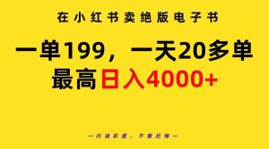 (9401期)在小红书卖绝版电子书,一单199 一天最多搞20多单,最高日入4000+教程+资料 - 严选资源大全 - 严选资源大全